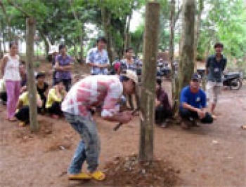 Ban hành danh mục đào tạo nghề cho lao động nông thôn
