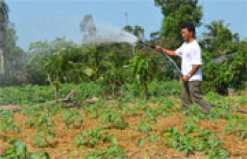 Hỗ trợ phát triển sản xuất cho người dân thuộc xã nông thôn mới