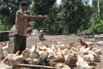 Đức Liễu: Chính quyền và người dân đồng lòng xây dựng nông thôn mới
