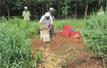 Tiêu hủy 10.500 trứng gia cầm không rõ nguồn gốc