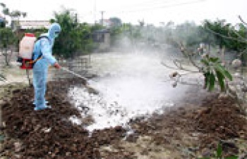 Tăng cường công tác phòng, chống cúm A (H5N1)
