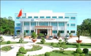 Tái cơ cấu các công ty TNHH MTV