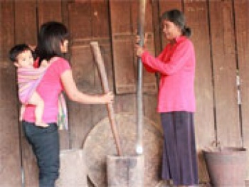 Ký ức sóc Bom Bo