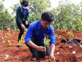 Trồng 7.000 cây xanh tại khu bảo tồn văn hóa dân tộc S’Tiêng sóc Bom Bo