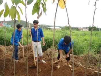 Các mô hình, cách làm hay của đoàn cần được nhân rộng