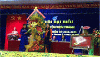Hoạt động hội liên hiệp phụ nữ các huyện thị