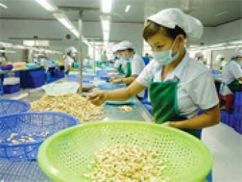 6 tháng đầu năm: Giá xuất khẩu hạt điều nhân tăng, mủ cao su thành phẩm giảm