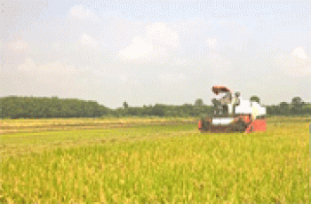 92 xã xây dựng nông thôn mới đạt bình quân 10,88 tiêu chí/xã