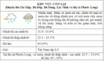 Dự báo thời tiết đêm nay và ngày mai 11/8