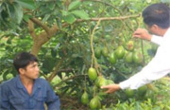 Cử tri kiến nghị thành lập trung tâm kiểm định chất lượng phân bón, thuốc BVTV, giống cây trồng