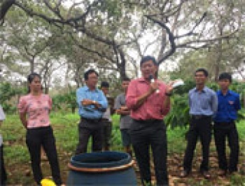 Tập huấn kỹ thuật phòng chống các loại sâu, bệnh trên cây điều