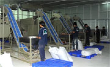 Đề xuất giải pháp phát triển KH&CN trong lĩnh vực nông nghiệp của tỉnh