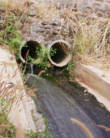 All industrial zones in Trang Bom District do not have concentrated wastewater treatment system