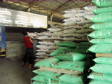 Pig price drops, cattle-feed soars, breeders run into difficulty