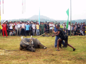 Ma and S'tieng ethnic people celebrates “Welcome the New rice” Festival