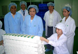 Minister of the Ministry of Public Health Tran Thi Trung Chien visited and worked in Dong Nai: The Ministry of Public Health will support the province to train human resources