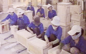 ５年間で、ドンナイ省には新設企業が8600社以上