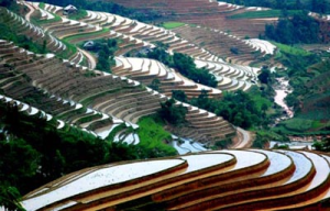 Hoang Su Phi terraced fields recognized as national heritage