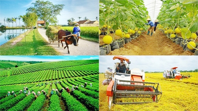 muc tieu quoc gia 168128345338797098900