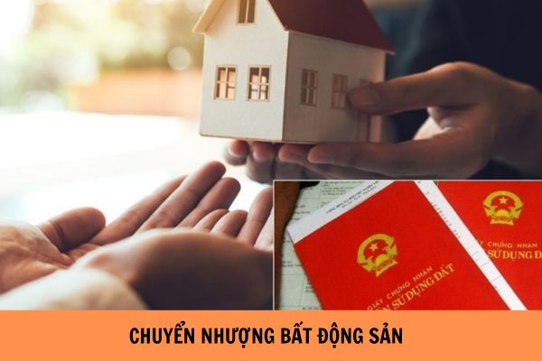 chuyen nhuong bds 16883718472601115702617
