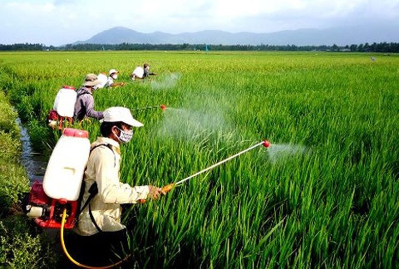 thuoc bao ve thuc vat 17425478936291186400009