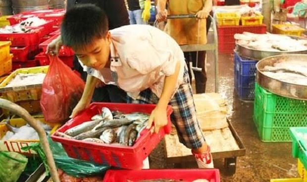 Hình minh họa