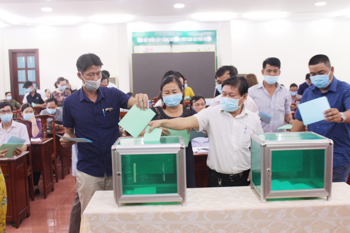 Cao su Phú Riềng tổ chức bán đấu giá 200,54 ha cây cao su thanh lý