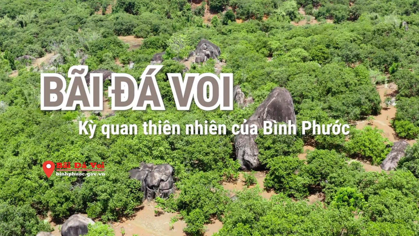 Bai Da Voi 1