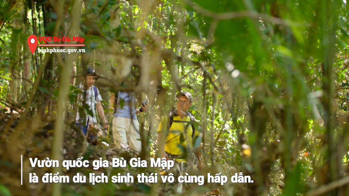 VQG Bu Gia Map20