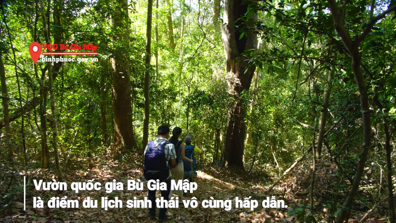 VQG Bu Gia Map21
