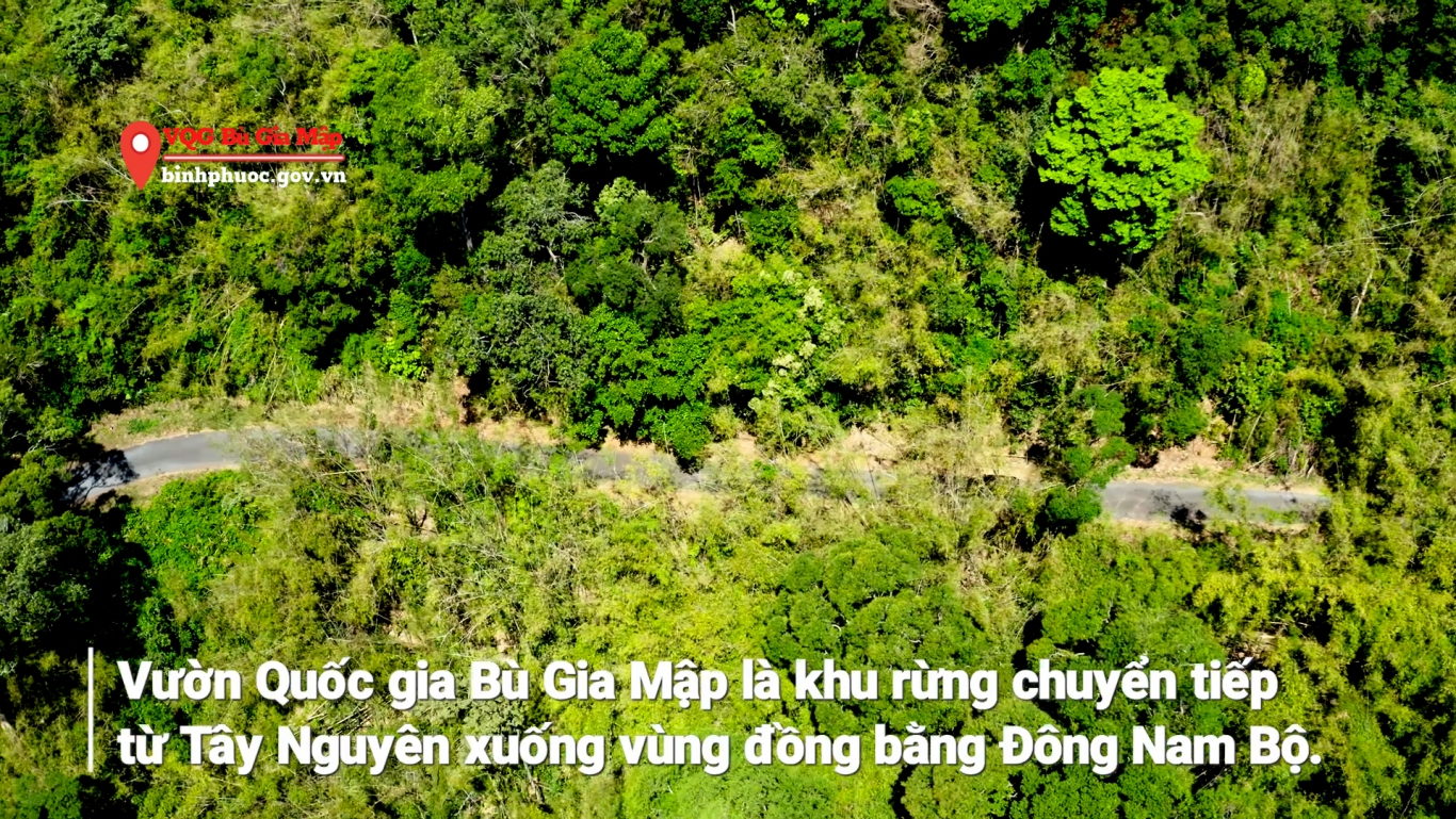 VQG Bu Gia Map3