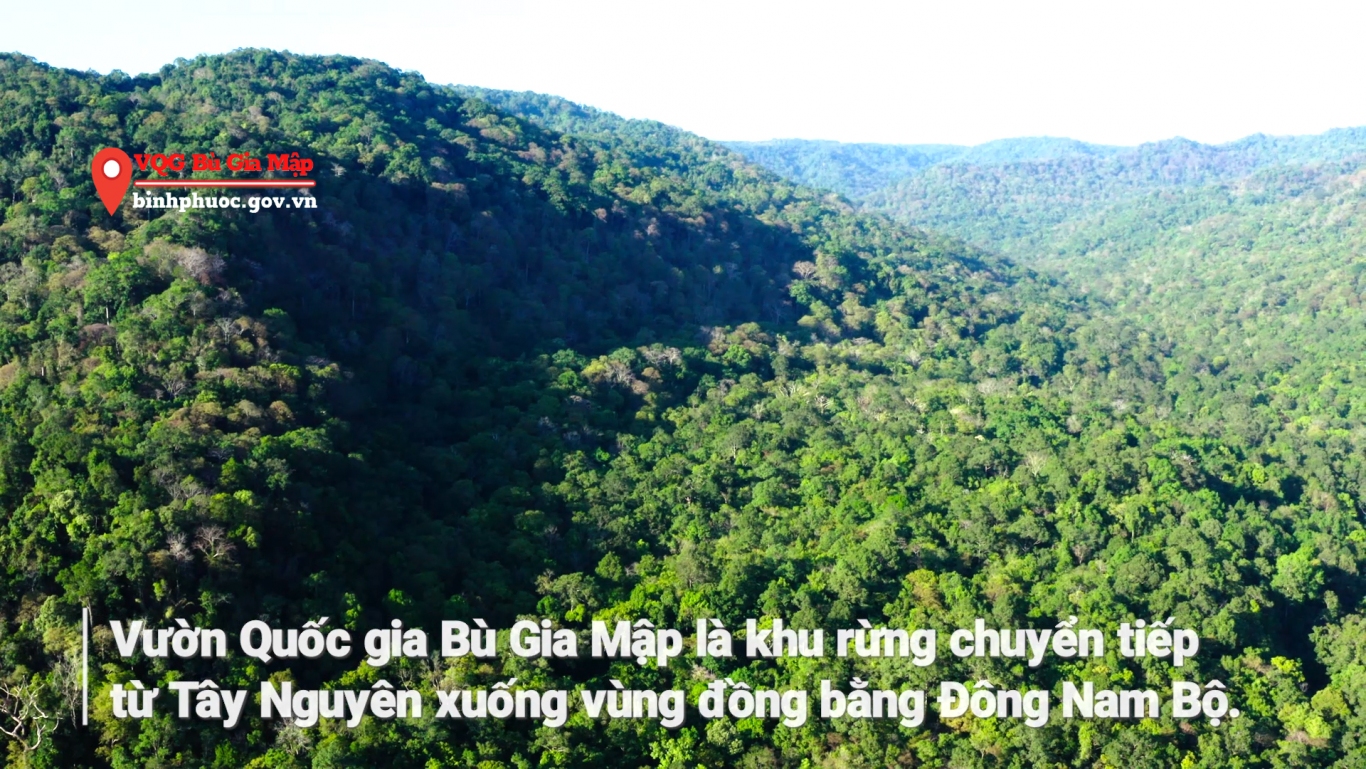 VQG Bu Gia Map4