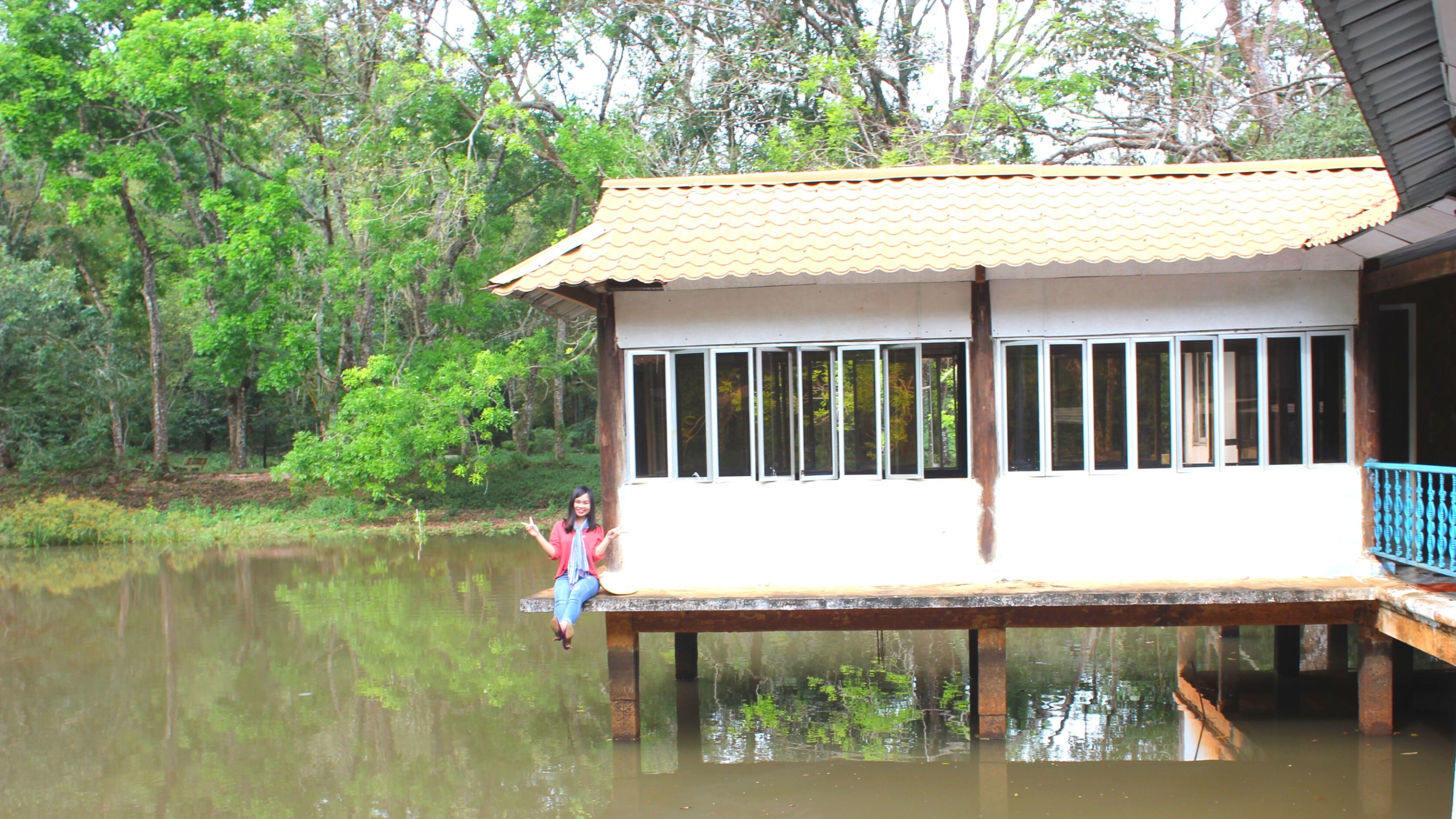 Hoa giấy (4)