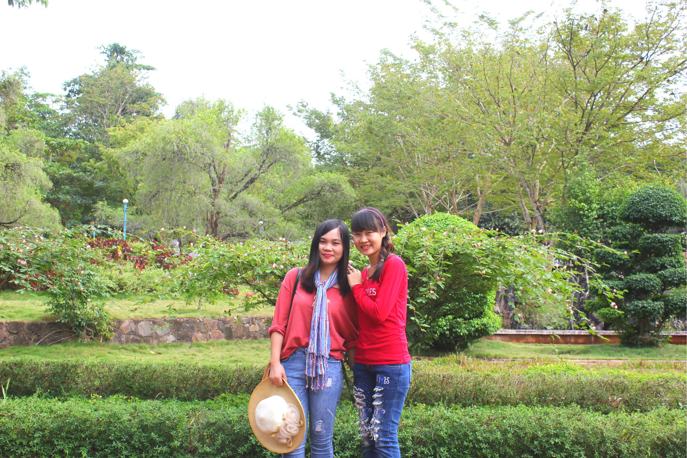 Hoa giấy (5)