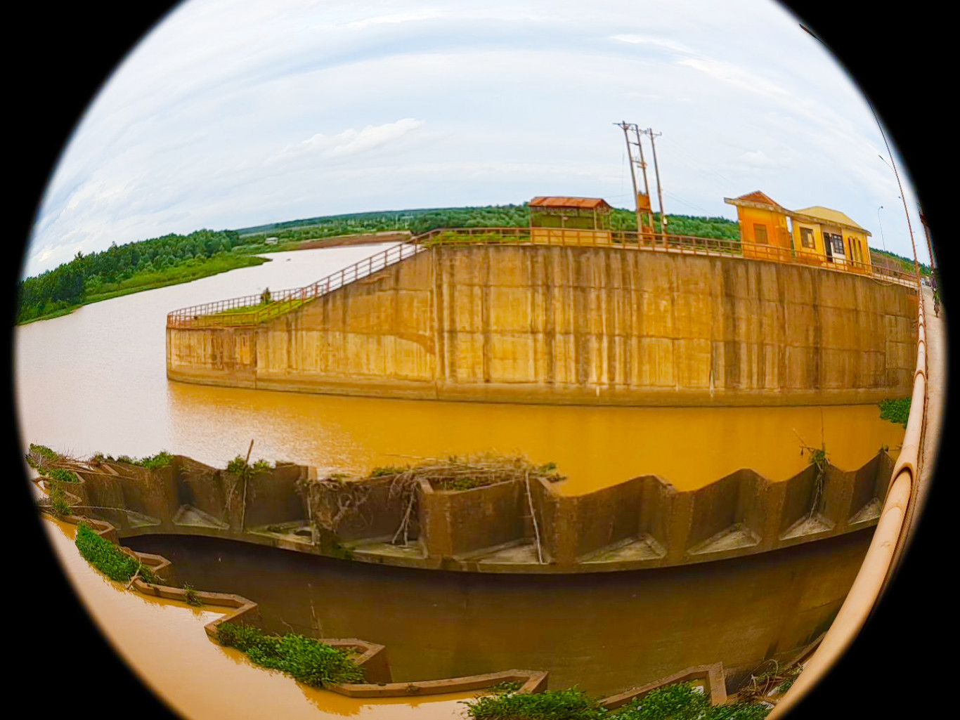 ho phuoc hoa7