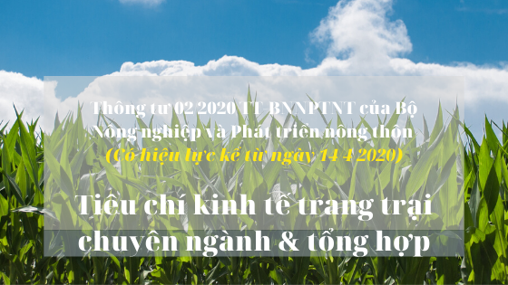 tieu chi trang trai