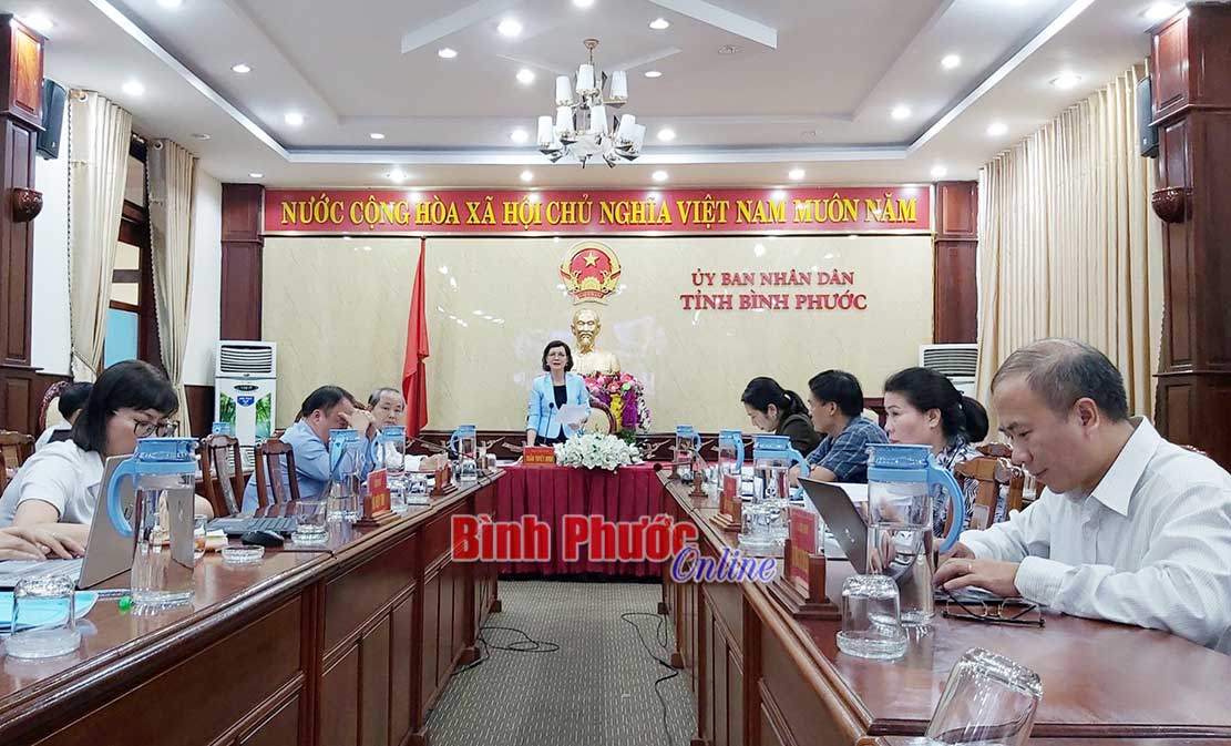 dc tran tuyet minh phat bieu tai buoi lam viec