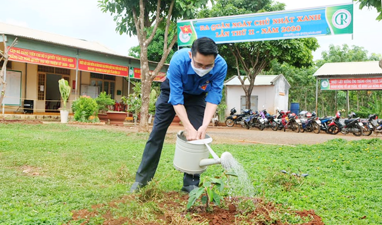 trong cay doi doi nho on bac