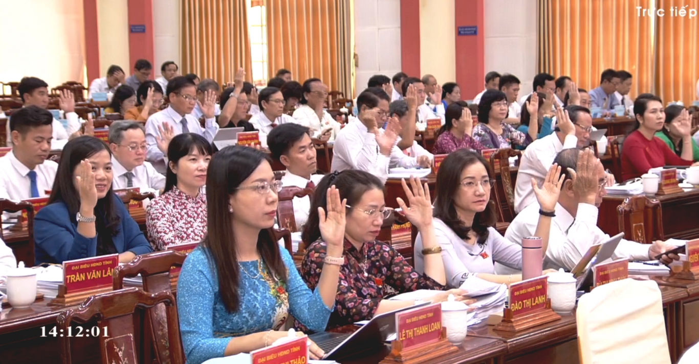 dai bieu bieu quyet thong qua nq2