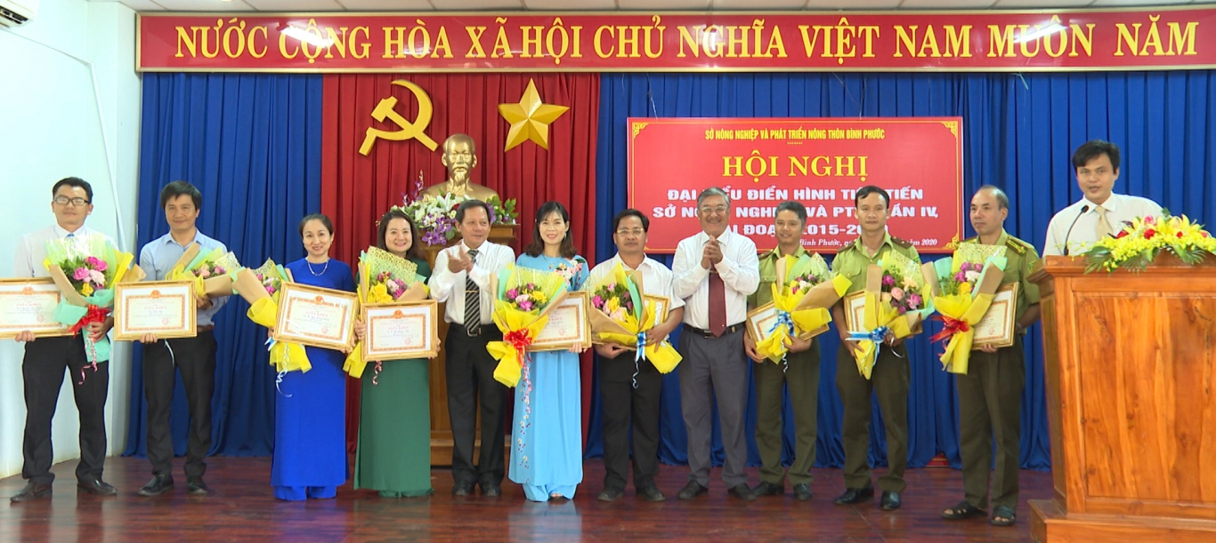 hoi nghi dien hinh tien tien so nn ptnt