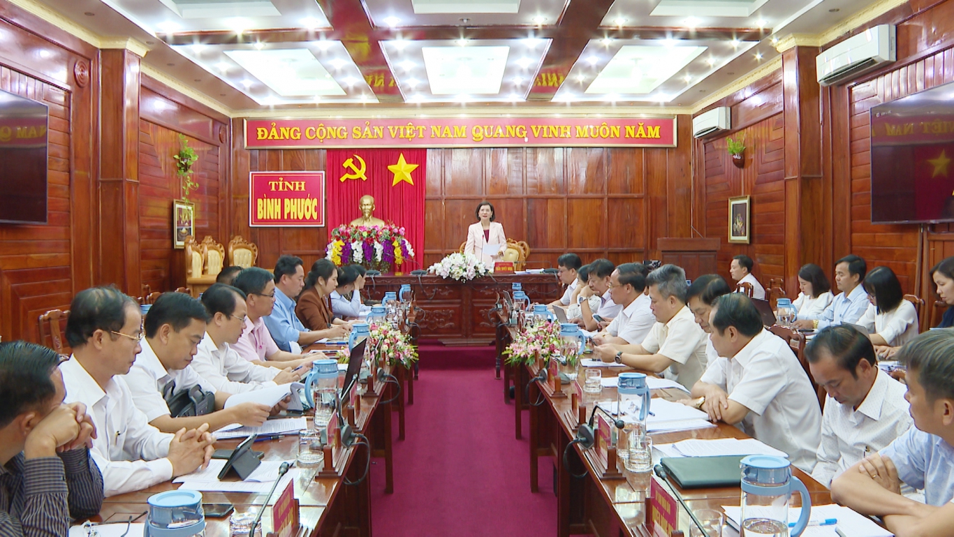 PCT Tran Tuyet Minh phat bieu tai hoi nghi VHXH