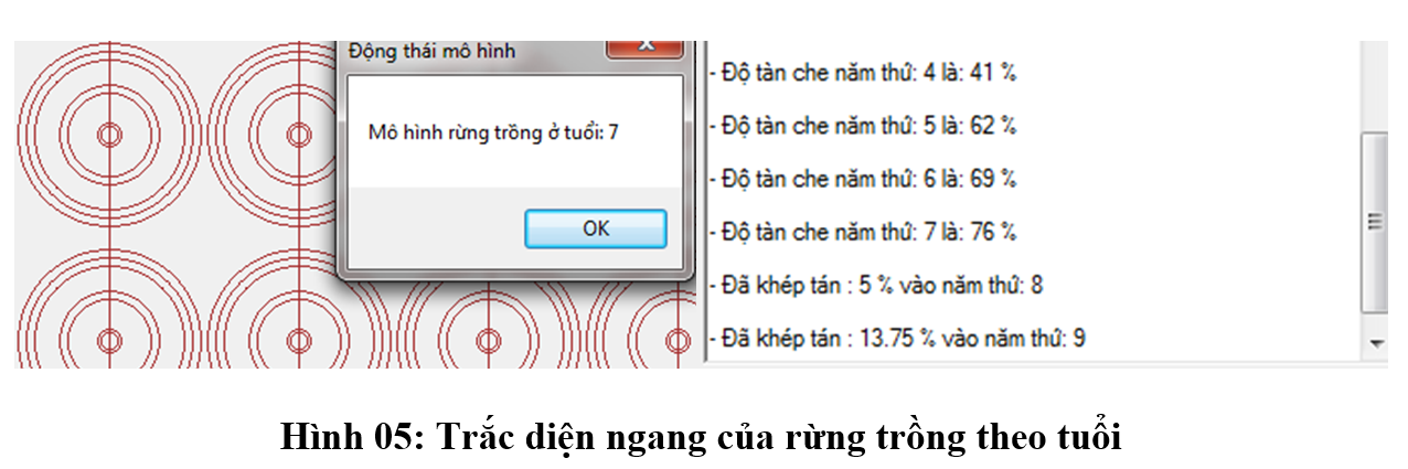 anh 5 Rung trong