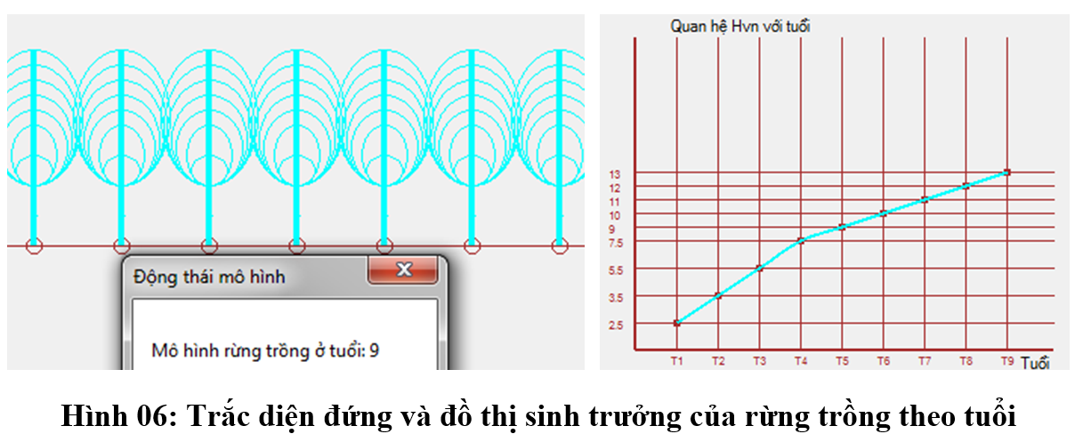 anh 6 Rung trong