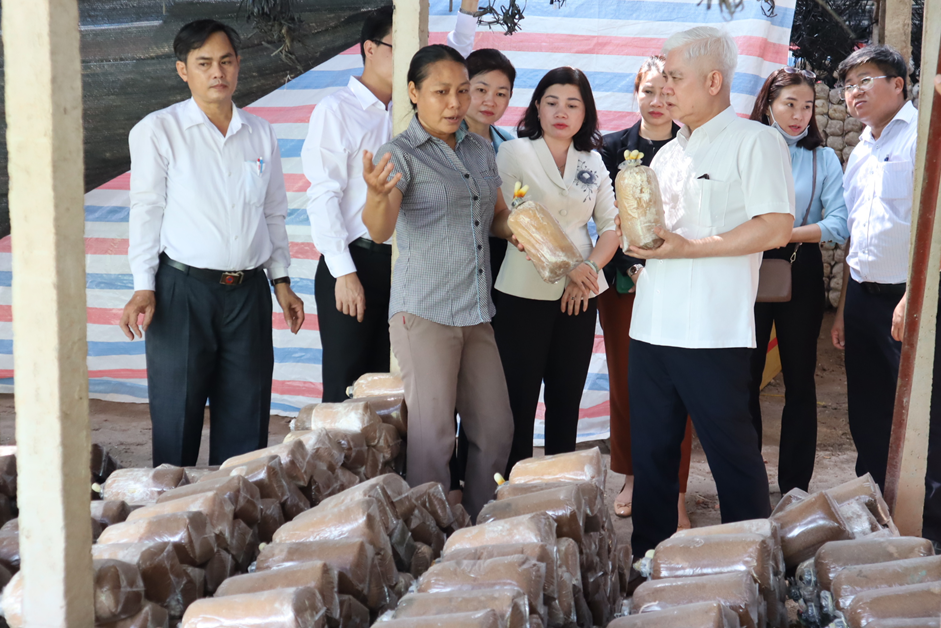 Mo hinh trong nam