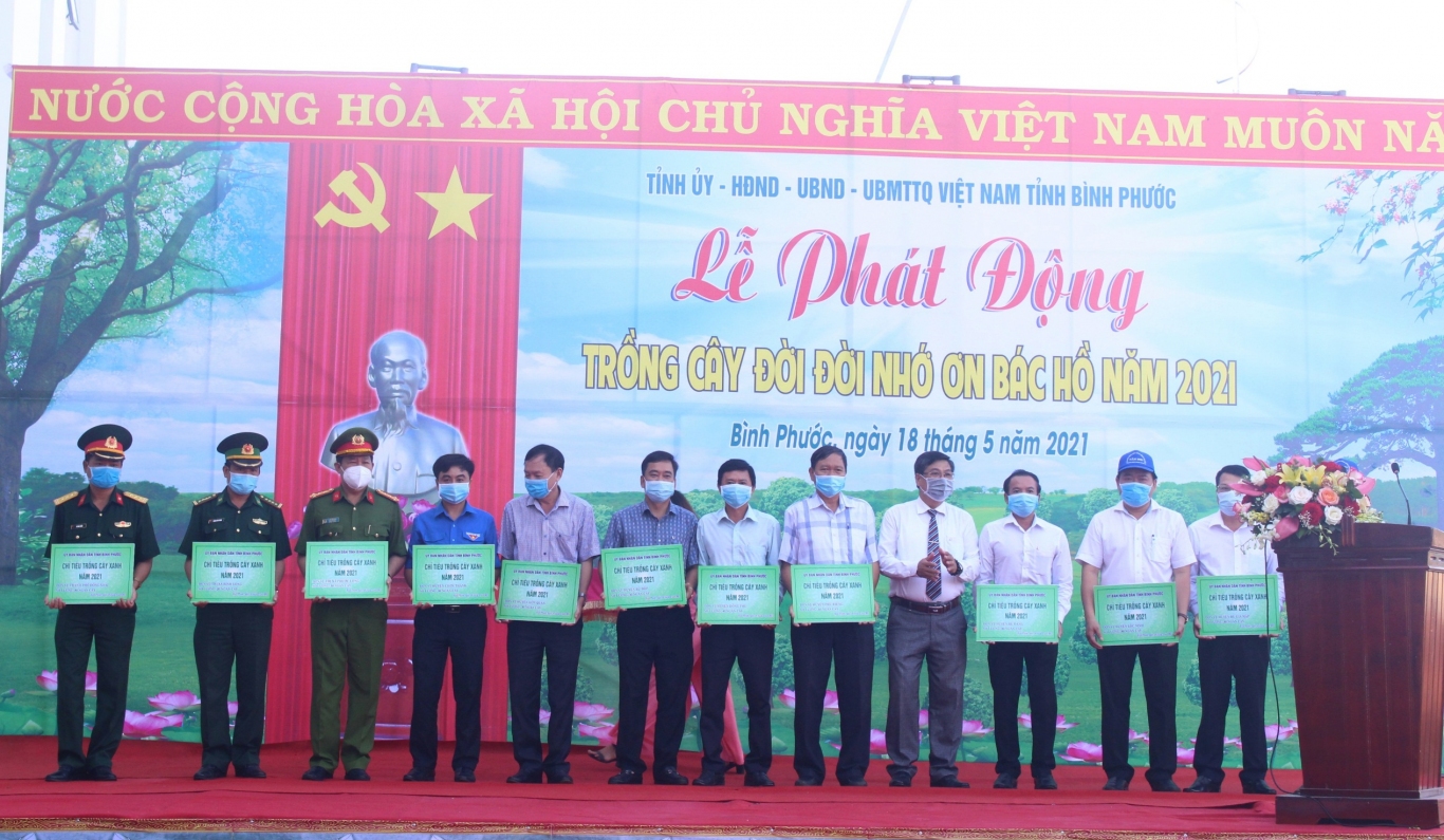 Trong cay nho on Bac Ho2