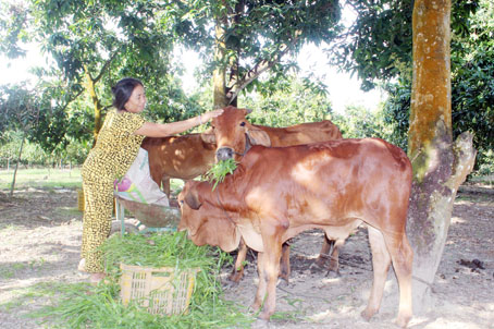 5B.jpg
