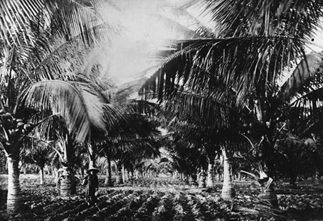 trang 55.jpg
