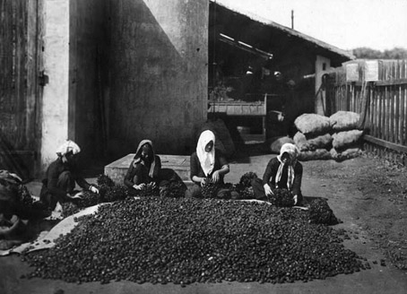 trang 59.jpg