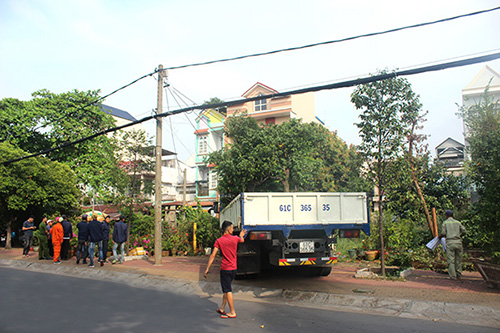 cuongche.JPG