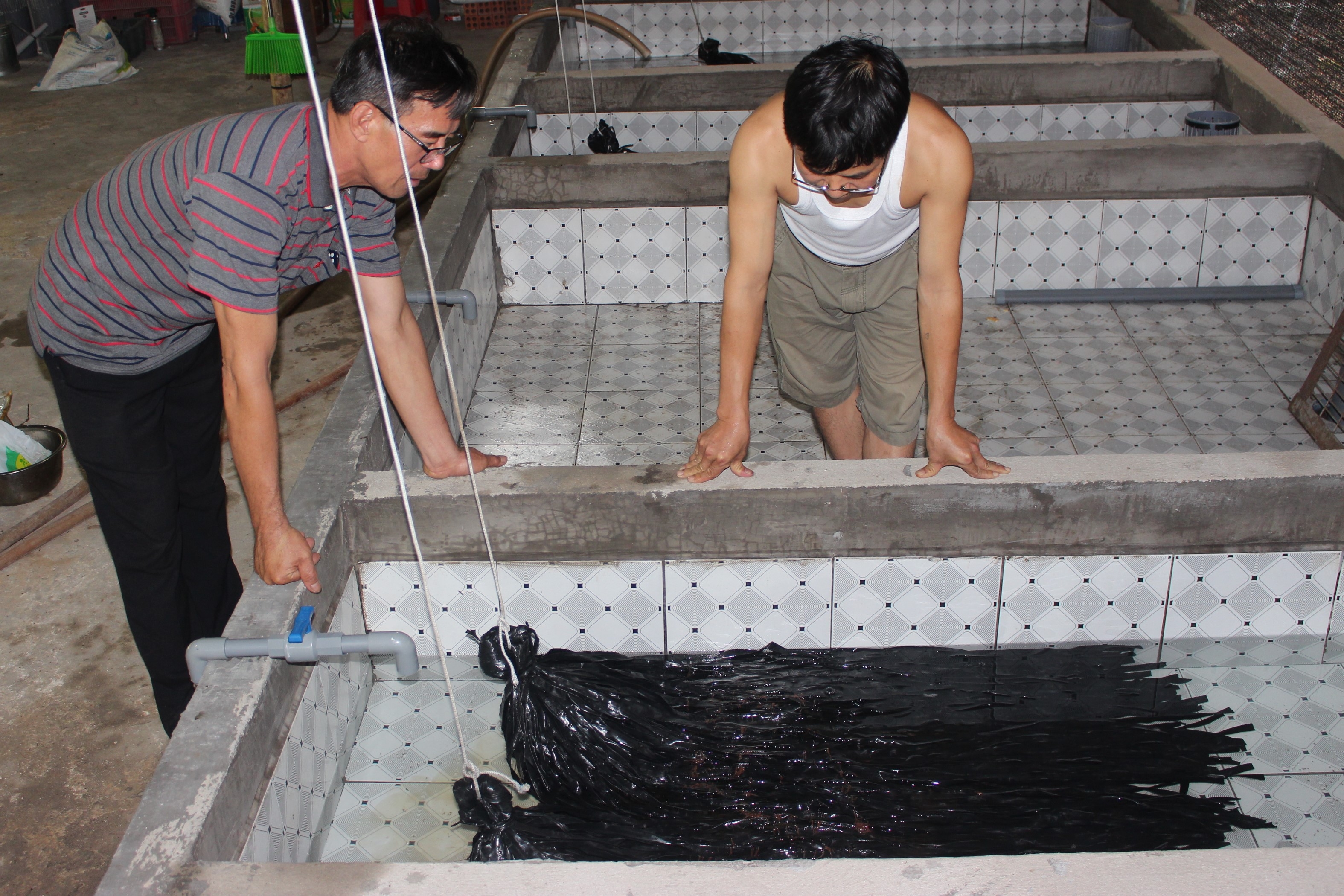 5. Sức bật nhờ kinh tế tập thể (H1).JPG